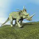 Styracosaurus Dinosaur Wall Decal Design 2