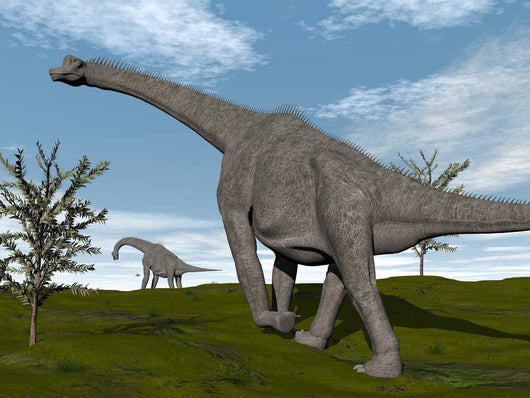 Brachiosaurus Dinosaurs Walking Open Wall Decal