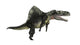Arizonasaurus Dinosaur Wall Decal Design 1