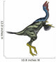 Caudipteryx Dinosaur with Head Wall Decal