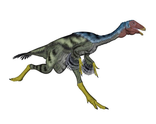 Caudipteryx Dinosaur Running Wall Decal