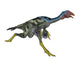 Caudipteryx Dinosaur Running Wall Decal