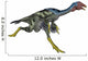 Caudipteryx Dinosaur Running Wall Decal