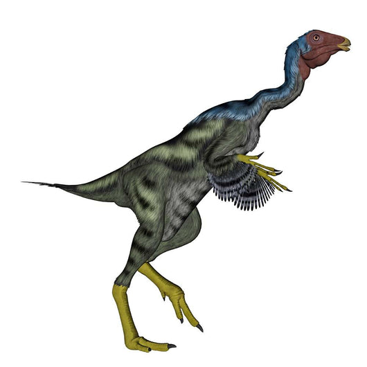 Caudipteryx Dinosaur Wall Decal Design 4