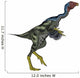 Caudipteryx Dinosaur Wall Decal Design 4