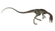 Compsognathus Dinosaur Wall Decal Design 2