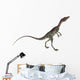 Compsognathus Dinosaur Wall Decal Design 1