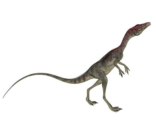 Compsognathus Dinosaur Wall Decal Design 1
