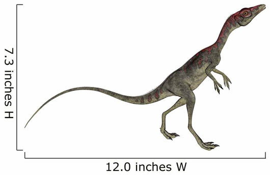 Compsognathus Dinosaur Wall Decal Design 1