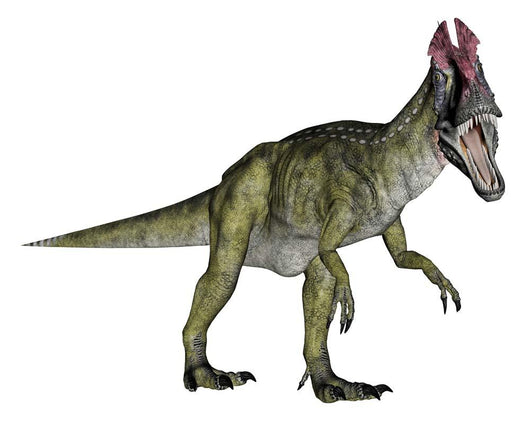Cryolophosaurus Dinosaur Wall Decal