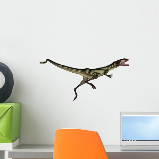 Dilong Dinosaur Jumping Wall Decal