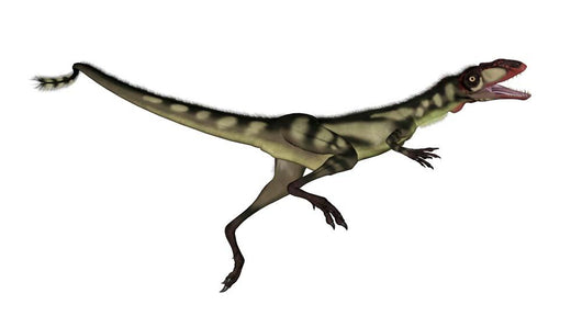 Dilong Dinosaur Jumping Wall Decal