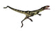 Dilong Dinosaur Jumping Wall Decal