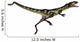 Dilong Dinosaur Jumping Wall Decal