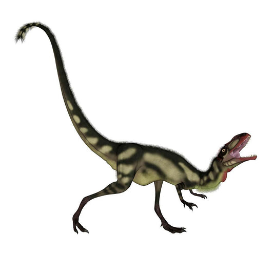 Dilong Dinosaur Roaring Wall Decal