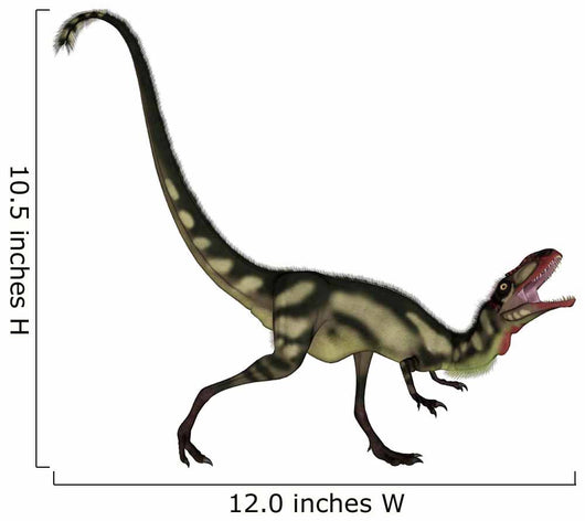Dilong Dinosaur Roaring Wall Decal