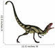 Dilong Dinosaur Roaring Wall Decal