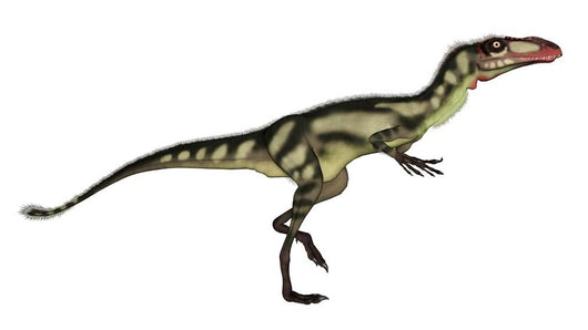 Dilong Dinosaur Wall Decal Design 1