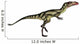 Dilong Dinosaur Wall Decal Design 1