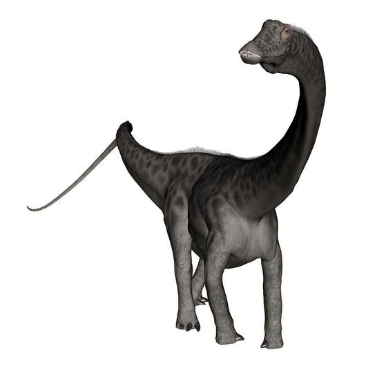 Diplodocus Dinosaur Wall Decal Design 1