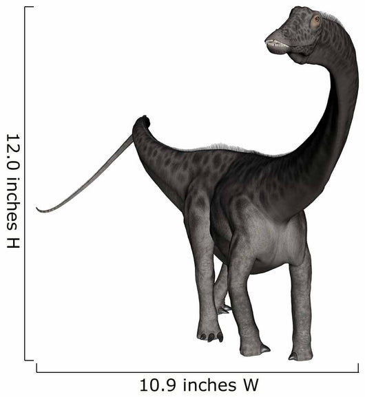 Diplodocus Dinosaur Wall Decal Design 1