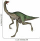 Gallimimus Dinosaur Wall Decal Design 1