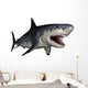 Megalodon Dinosaur Wall Decal Design 2