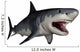 Megalodon Dinosaur Wall Decal Design 2