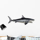 Megalodon Dinosaur Wall Decal Design 1