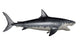 Megalodon Dinosaur Wall Decal Design 1