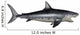 Megalodon Dinosaur Wall Decal Design 1