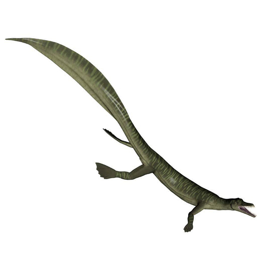 Mesosaurus Dinosaur Wall Decal Design 2