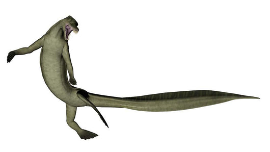 Mesosaurus Dinosaur Wall Decal Design 1