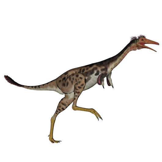Mononykus Dinosaur Wall Decal