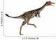Mononykus Dinosaur Wall Decal