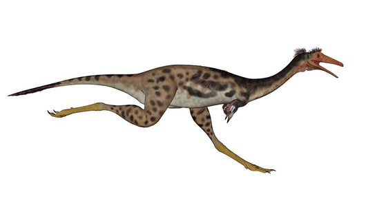 Mononykus Dinosaur Running Wall Decal