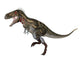 Nanotyrannus Dinosaur Wall Decal Design 2