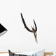Pteranodon Flying Reptile Wall Decal Design 3