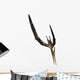 Pteranodon Flying Reptile Wall Decal Design 3