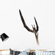 Pteranodon Flying Reptile Wall Decal Design 3