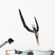 Pteranodon Flying Reptile Wall Decal Design 3