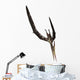 Pteranodon Flying Reptile Wall Decal Design 3