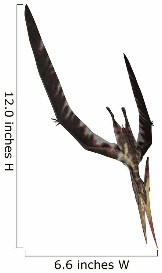 Pteranodon Flying Reptile Wall Decal Design 3