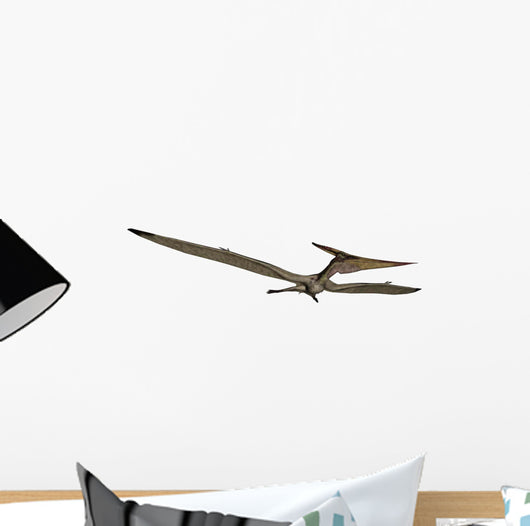 Pteranodon Flying Reptile Wall Decal Design 2