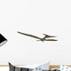 Pteranodon Flying Reptile Wall Decal Design 2