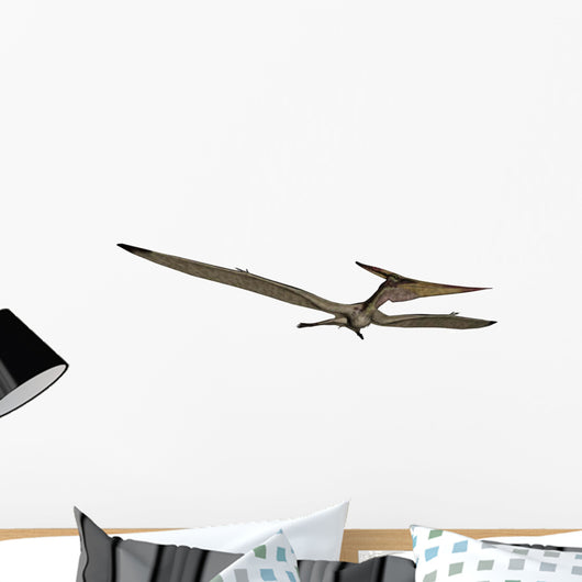 Pteranodon Flying Reptile Wall Decal Design 2