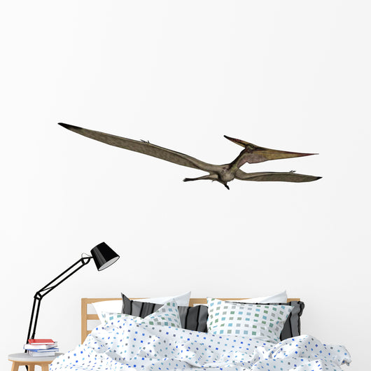 Pteranodon Flying Reptile Wall Decal Design 2