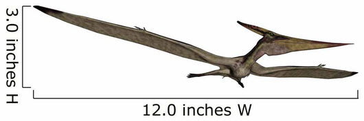 Pteranodon Flying Reptile Wall Decal Design 2
