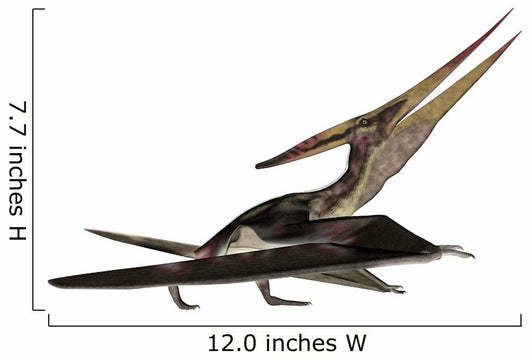 Pteranodon Flying Reptile Wall Decal Design 1