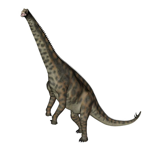 Spinophorosaurus Dinosaur Standing up Wall Decal